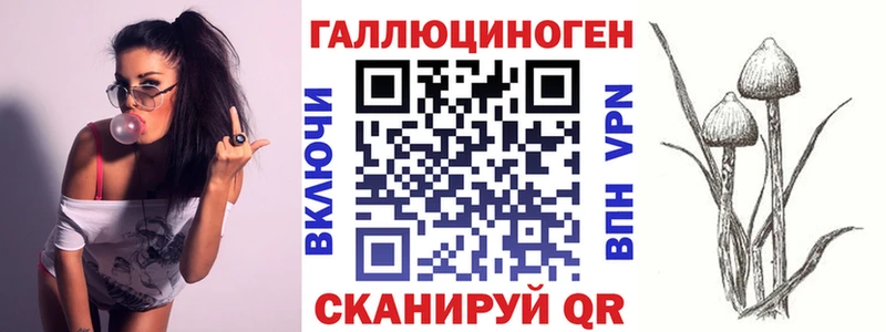 как найти   Пермь  Псилоцибиновые грибы Psilocybine cubensis 
